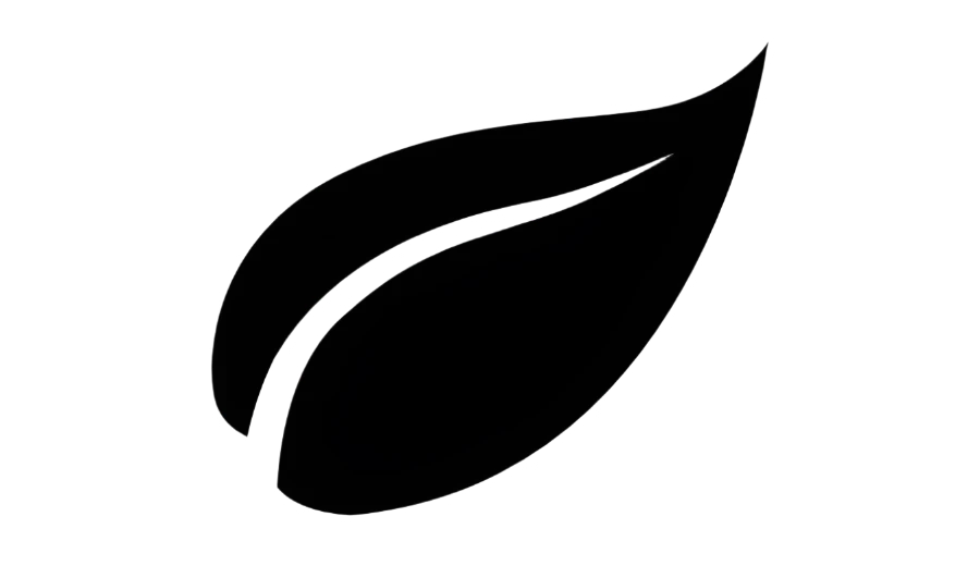 feature-item-4